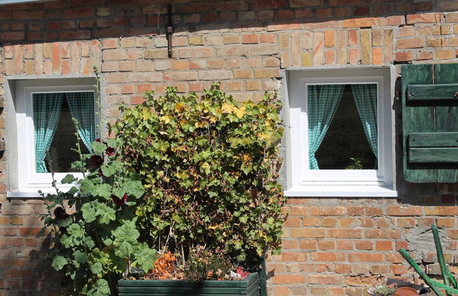 Apartment in Ribnitz Damgarten - Foto 16