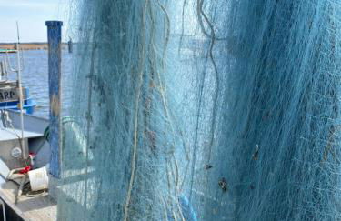 Ferienhaus am Seegrund - Foto 25