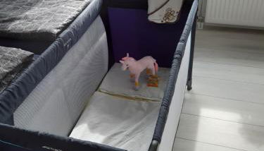 Baumann's apartment - ruhige Lage - Foto 5