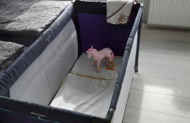 Baumann's apartment - ruhige Lage - Foto 5