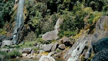 Teles House - Photo 5