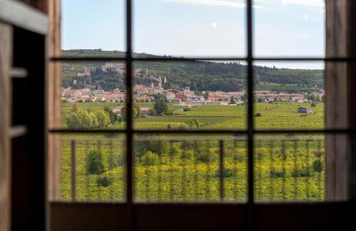 Agriturismo Monte Bisson - Foto 12