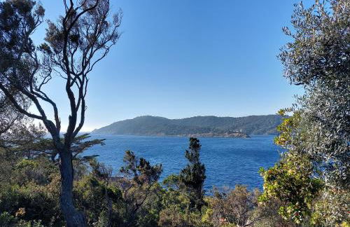 LA TERRASSE DES LAURIERS SUR L'ÎLE DU LEVANT - Foto 25