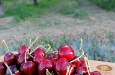 Carvalhal Redondo - Farm House - Foto 24