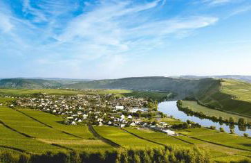 Ferienweingut Ulrike Thul - Foto 3