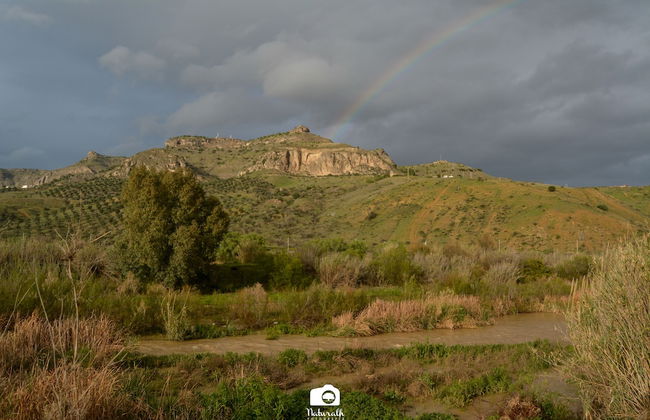 TOTTAM EXPERIENCE - Foto 54