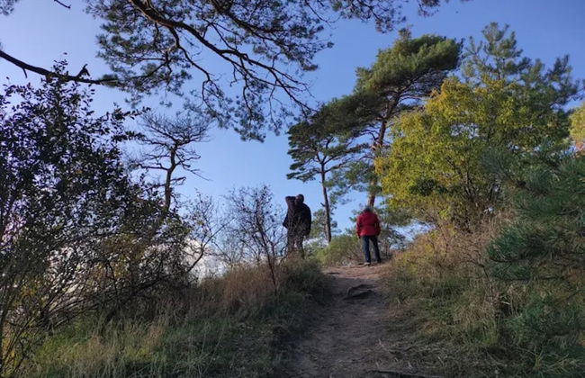 Farmstay Neuendorfkrug, La1/4tow - Formerly TUI - Foto 28