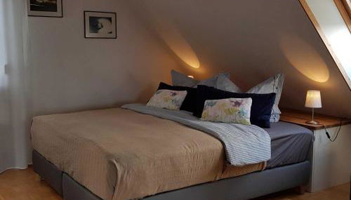 Studio Ole - GM 69107 - Photo 4