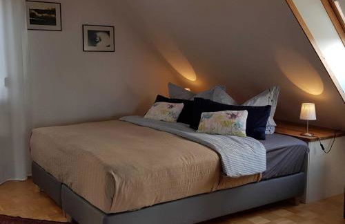 Studio Ole - GM 69107 - Photo 4