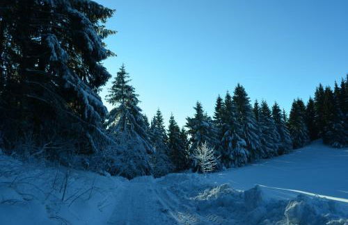 Ferienwohnung Pusteblume - Foto 27