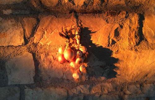 Fattoria Bio L'A Ceccoli - Foto 19