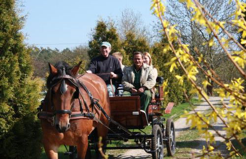 Landhaus Questin - Photo 30