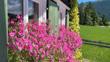 Gästehaus Nussbaumer - Photo 3