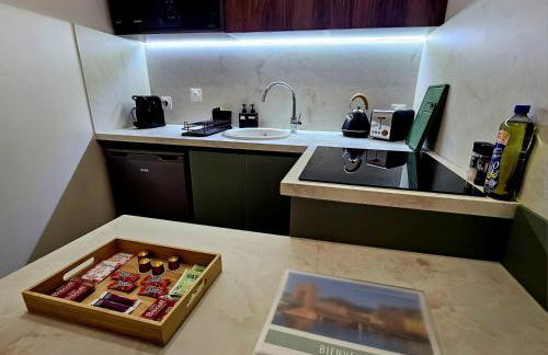 Suite Élégante au Cœur de Vienne - Foto 11