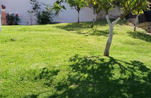 Dinos Green Place - Photo 18