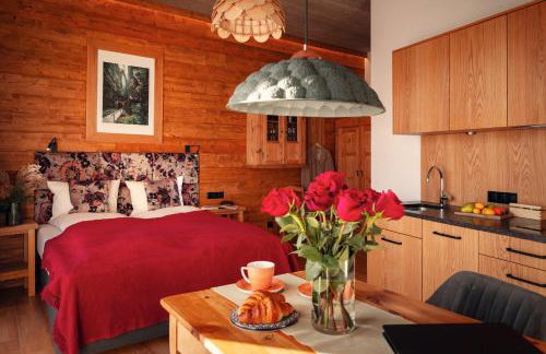 APARTAMENTY U HARREGO BOUTIQUE SPA masaże, sauna, tężnia solankowa , balkon , taras , klimatyzacja , parking - Foto 3