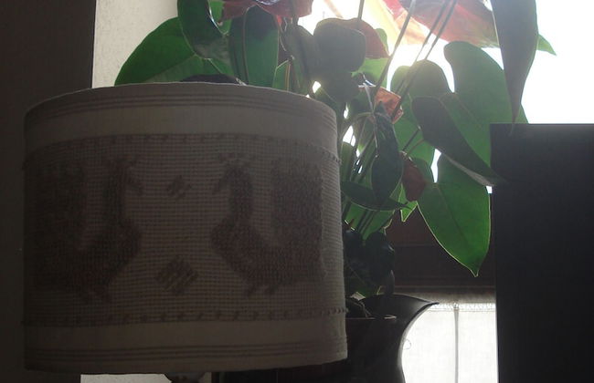 Il Giardino Segreto - Foto 4