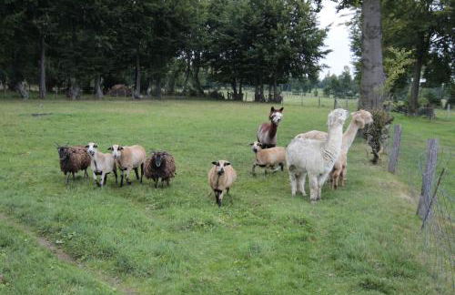 Ferienwohnung Margot - Photo 13