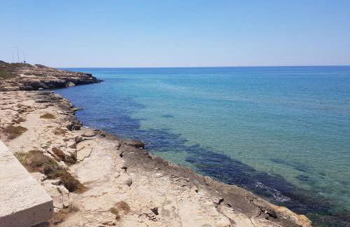 Maredaliga - Photo 34