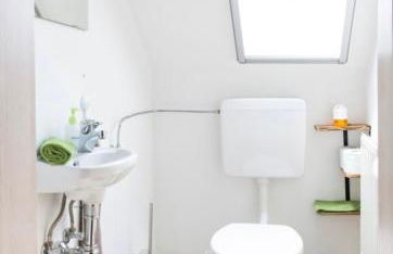 Ferienwohnung Am Palmengarten - Foto 12