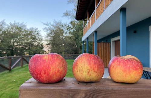 Apartamentos Montes Vindios - Foto 21