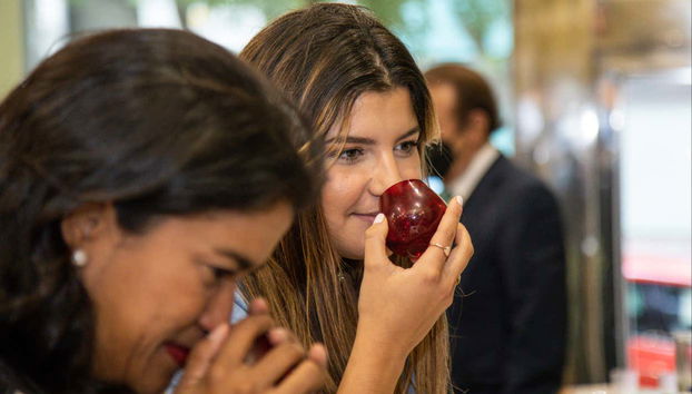 Cata de aceite de oliva en Madrid - Foto 2, Catando el aceite de oliva