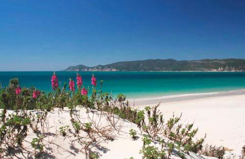 Troia Garden View Apartment - Foto 18