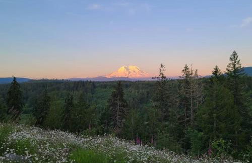 Stunning Mt Rainier Views!tahoma Ridge Cottage - Foto 57