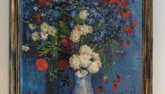 The Green House - Foto 5