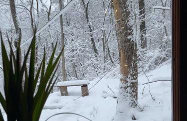 Cozy Cabin Escape Hot Tub & Lake Access - Foto 33