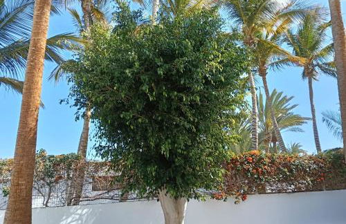 Appartamento Las Palmas - Photo 2