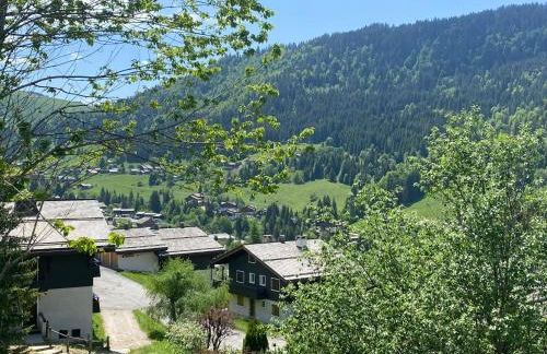 Les bouquetins - Foto 56