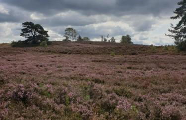 likehome apartments - Foto 6