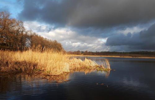 Łabądkowo - Foto 16