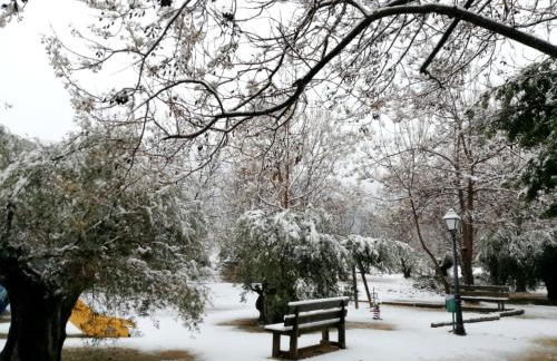 Finca La Celada - Foto 5