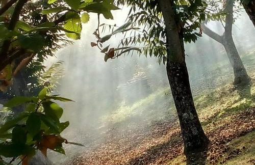 HOME L'UPUPA AMIATA - Foto 43