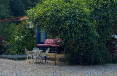 Quinta São José - Museu do Triciclo - Photo 49