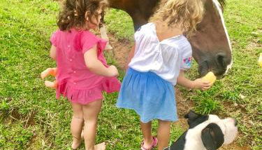 A Morada do Muriqui - Foto 5, Other