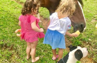 A Morada do Muriqui - Foto 5