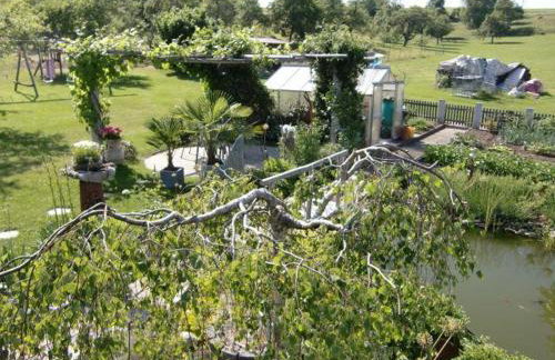 Haus-Fechtig-Wohnung-TypB-Parterre - Foto 6