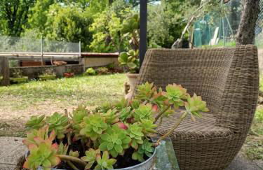 La Gesualda locazione turistica - Foto 41