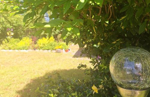 Sielanka Wydmy i Las - Foto 72