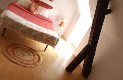 Gîte Animals King'Dôme 8min du Zoo de Beauval - Foto 25