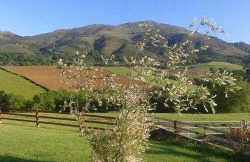 Pena plata - Foto 16