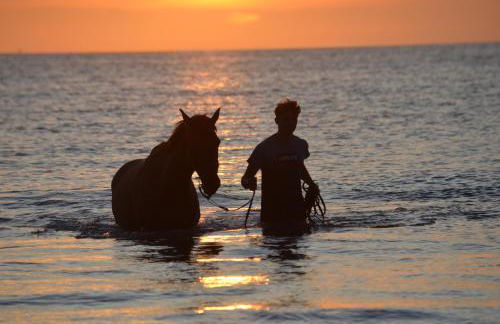 Maison proche de la mer, Normandie - Foto 12