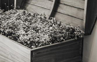 Villa Hortensia - Foto 29