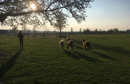 Flammerie - Hoferstraße 30c - Foto 31