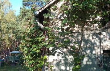 Augustówka - letnisko na Wrzosowiskach - Foto 39