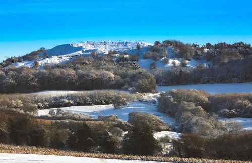 The Organic Cotswolds Shepherds Hut - Photo 67