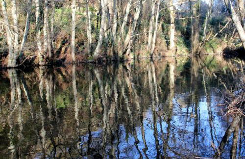 Casa do Vale de Cerdeiras - Foto 37